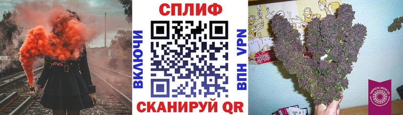 Виды наркотиков купить Зеленогорск А ПВП  Псилоцибиновые грибы  АМФ  МАРИХУАНА  ГАШИШ  COCAIN 