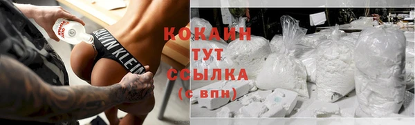 индика Армянск