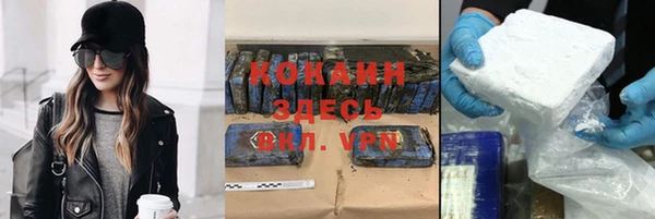 индика Армянск