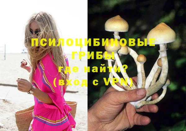 индика Армянск