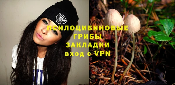 индика Армянск