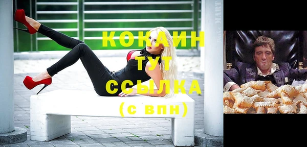 индика Армянск