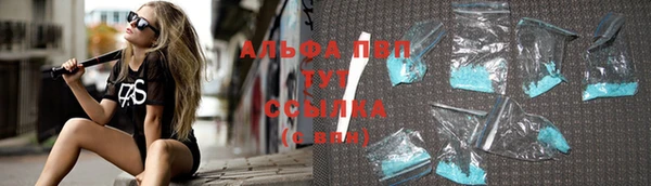 индика Армянск