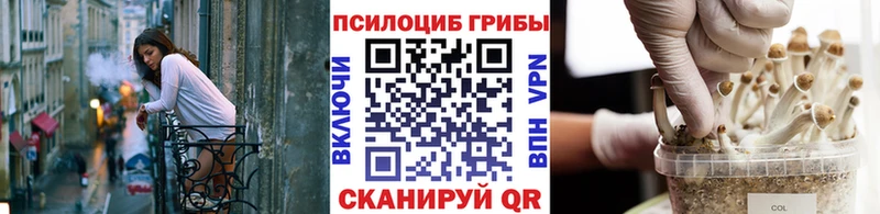 Галлюциногенные грибы мицелий  купить закладку  Зеленогорск 
